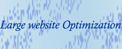 Large website optimization